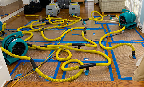 Professional Water Damage Restoration technician working in Conway, PA